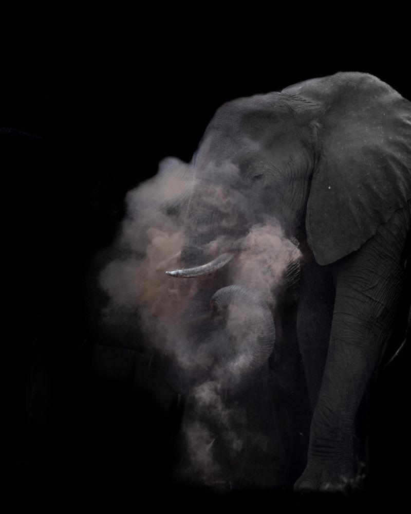 Photograph by Rémi Vacher