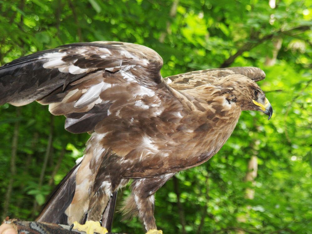 Photograph by Роман Приходько