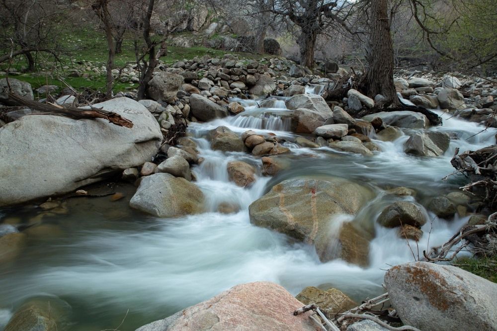 Фотография автора Van Gross