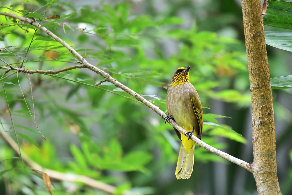 Photograph by Игорь Боголюбов