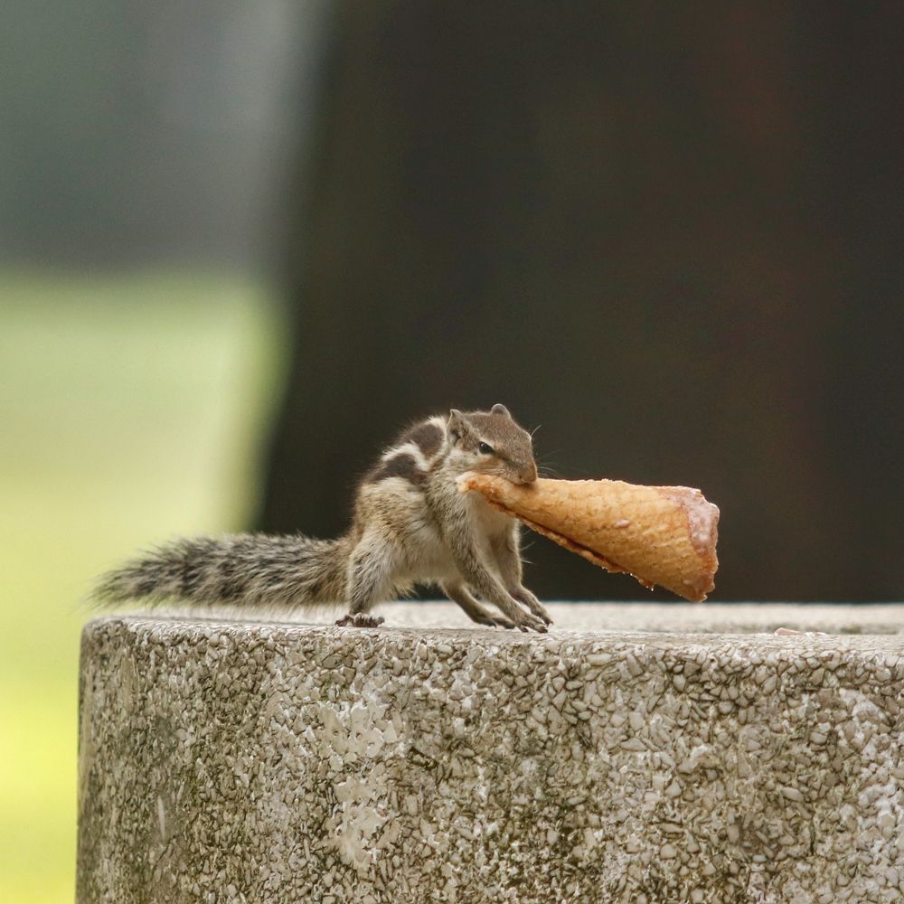 Фотография автора Washiful Majid