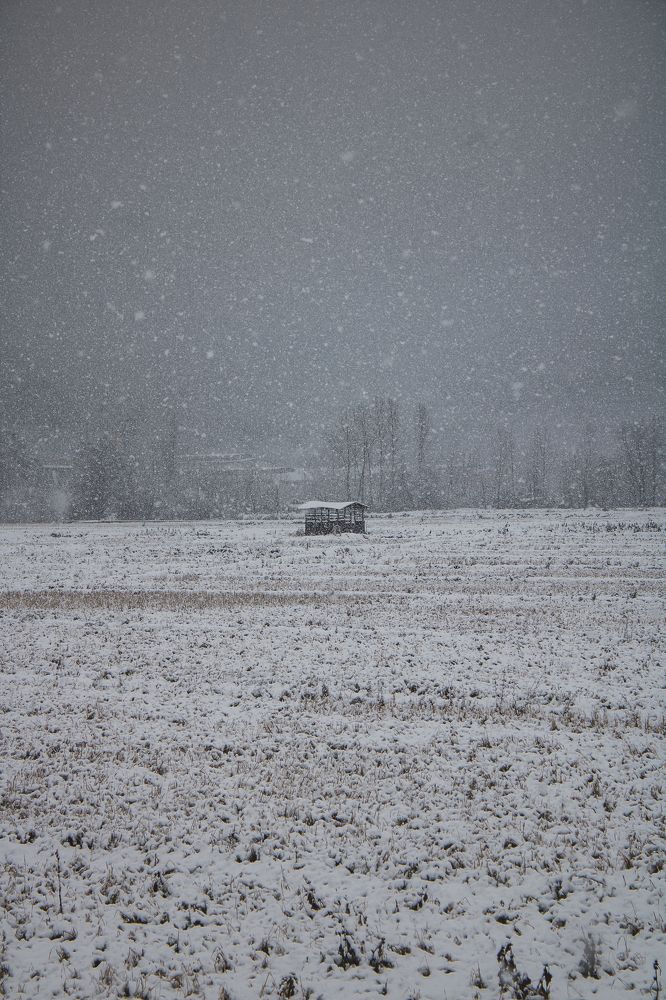 Photograph by Tina hemmati