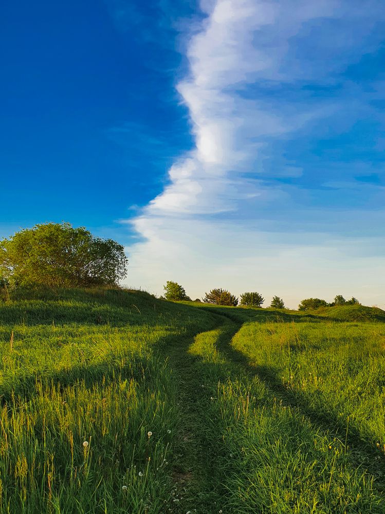 Фотография автора Анна Мисякова