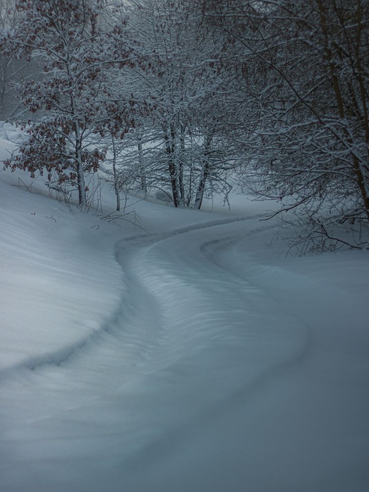 Фотография автора Анна Мисякова