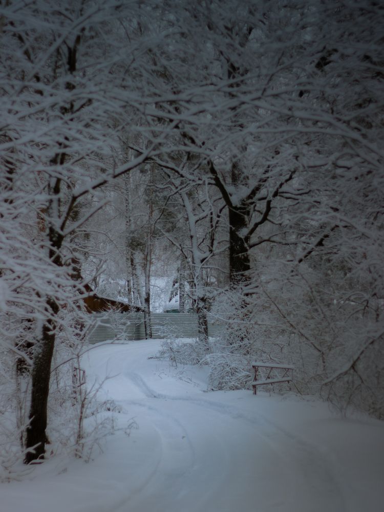 Фотография автора Анна Мисякова
