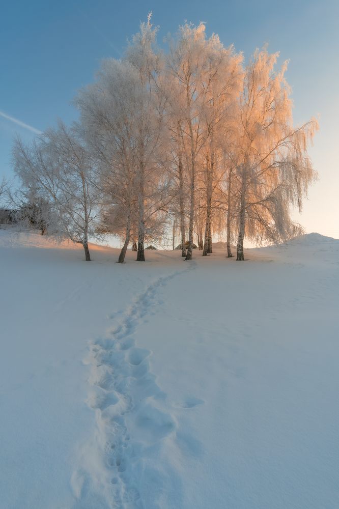 Photograph by Григорьев Константин