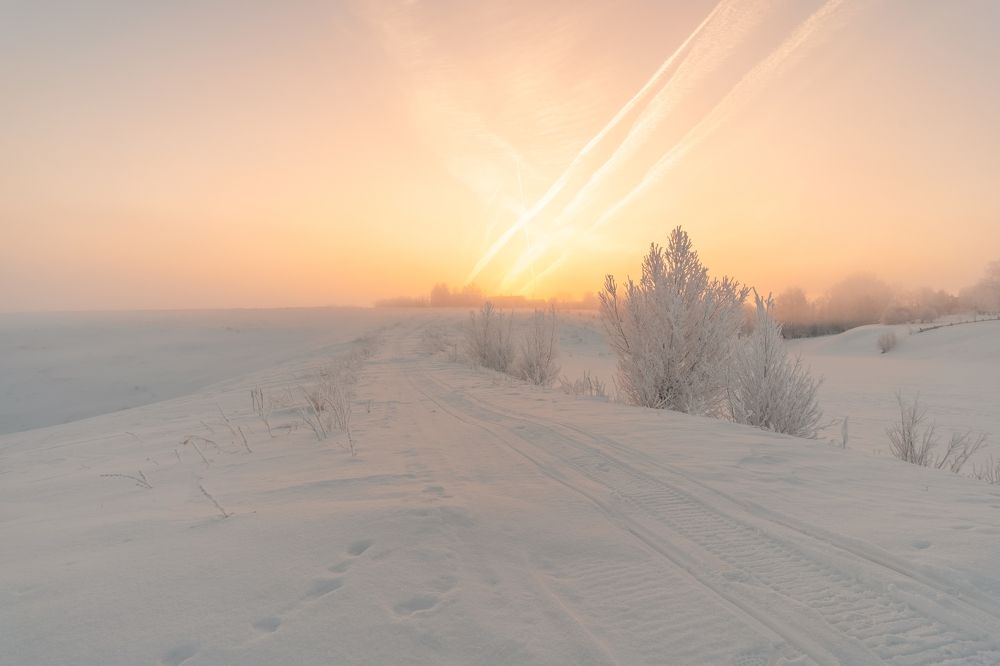 Фотография автора Григорьев Константин