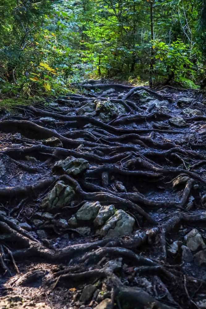 Photograph by Оксана Хабарова