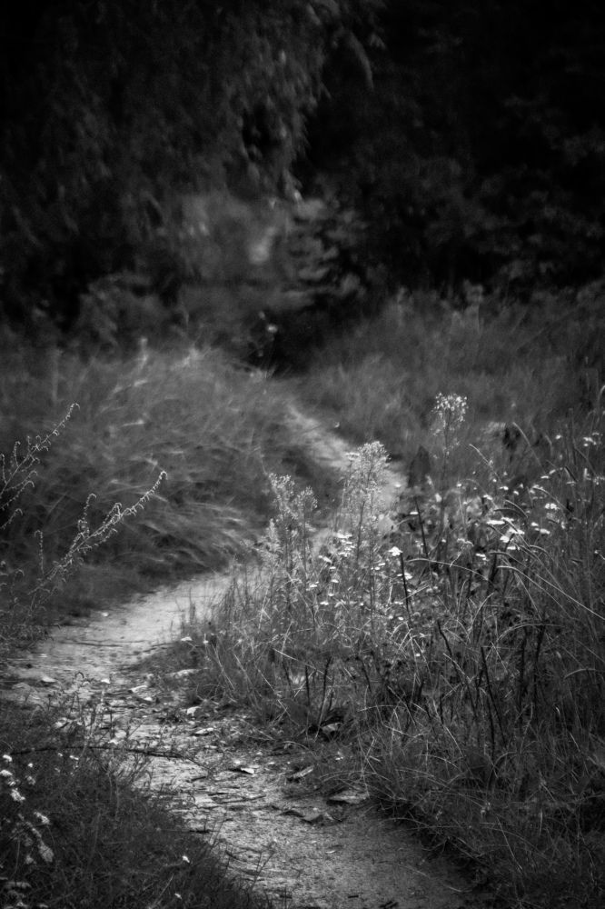 Photograph by Оксана Хабарова