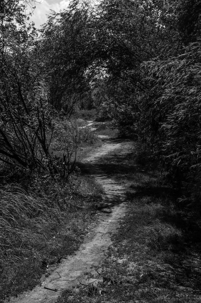 Photograph by Оксана Хабарова