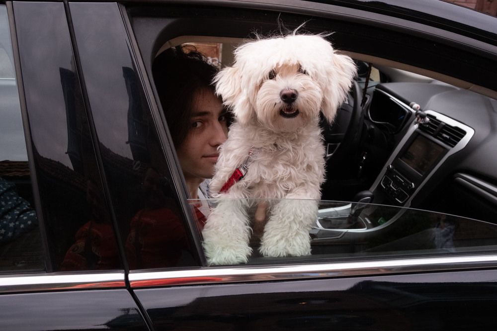 Photograph by Alex Belov