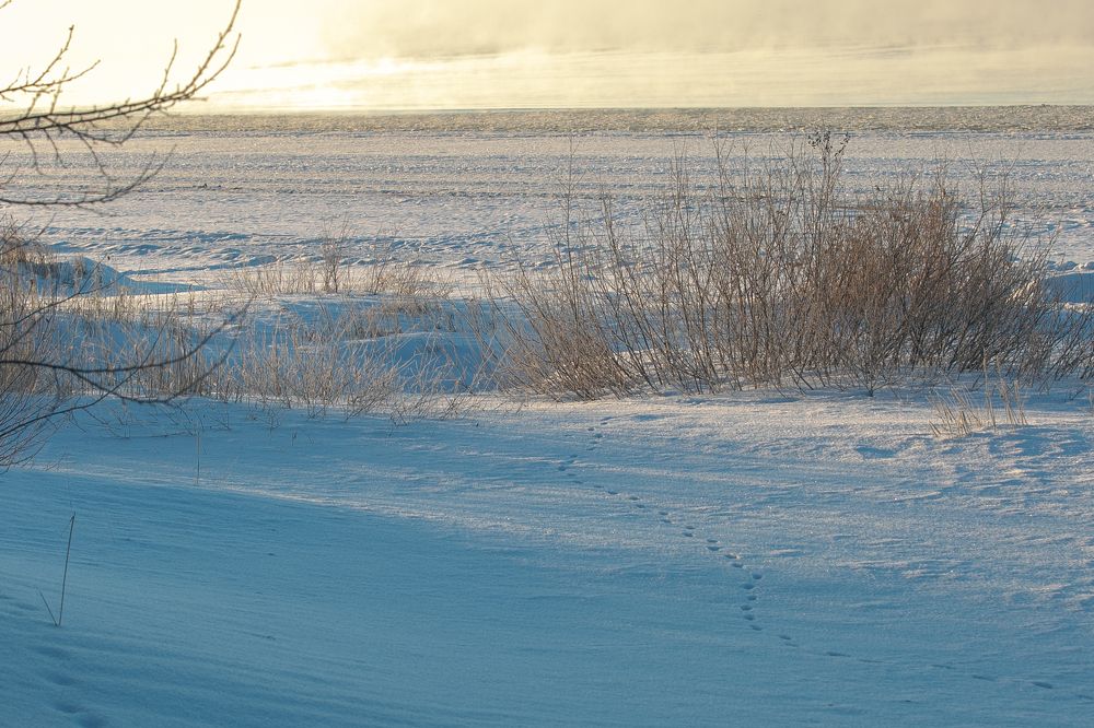 Photograph by Наталья Катюжанская