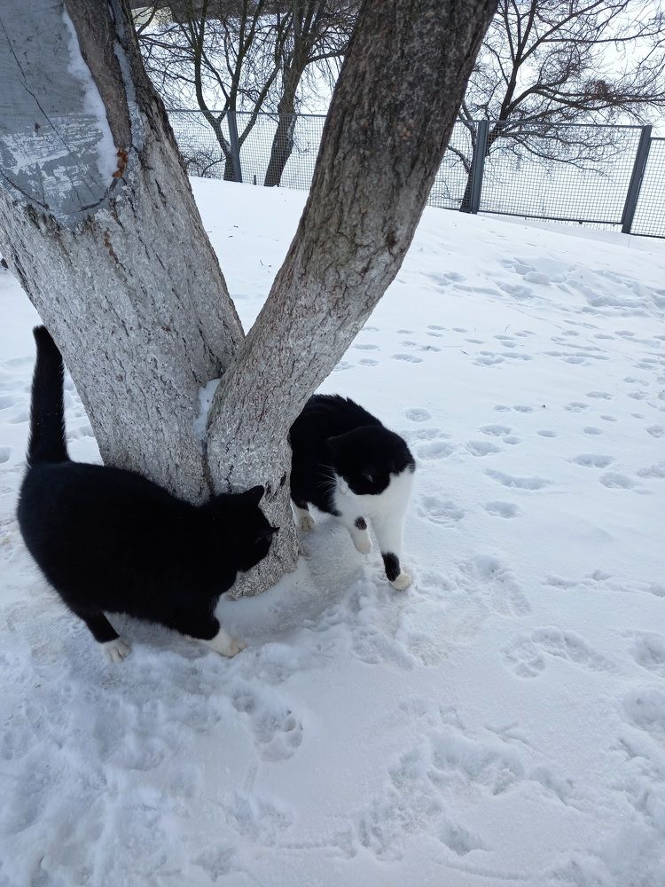 Фотография автора Oksana Podgorodetska