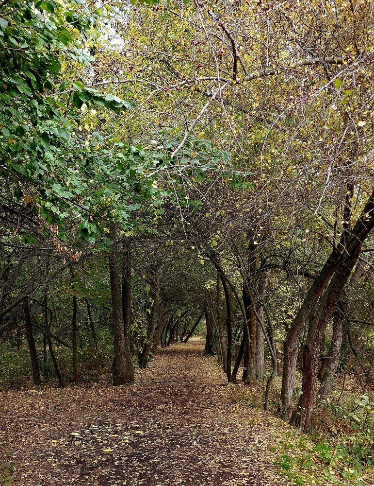 Photograph by Басалаев Евгений