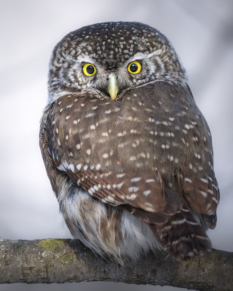 Photograph by Поляков Михаил