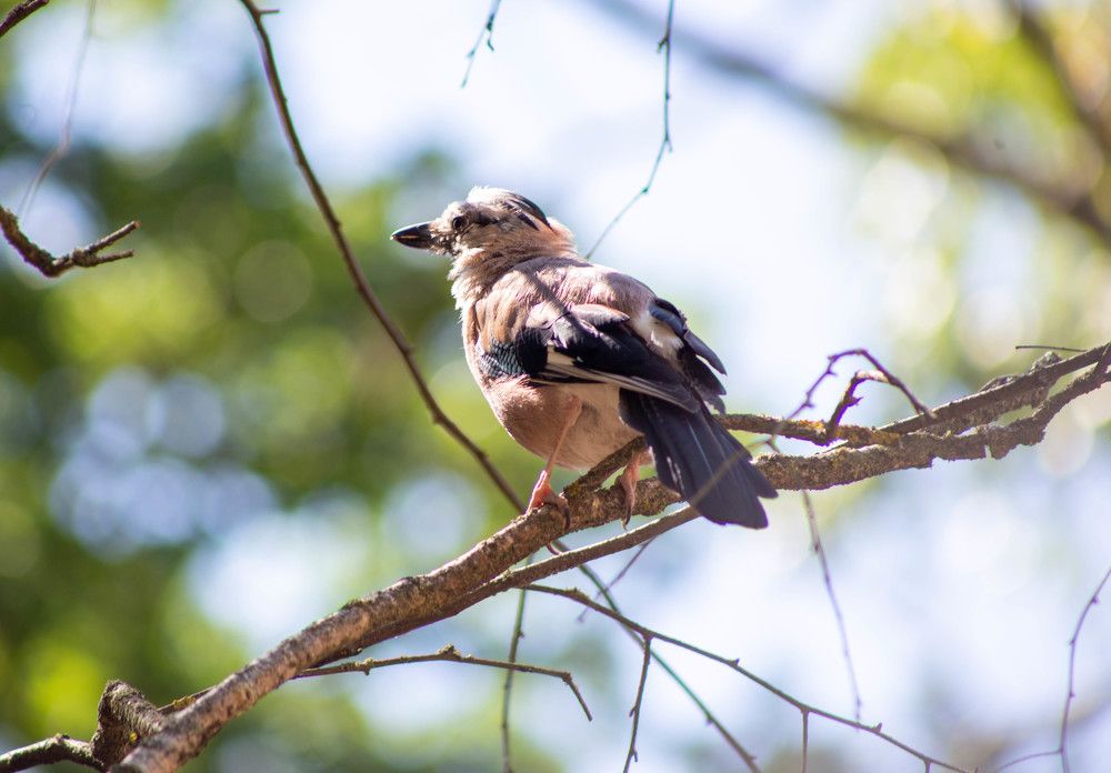 Photograph by Ольга Захарова