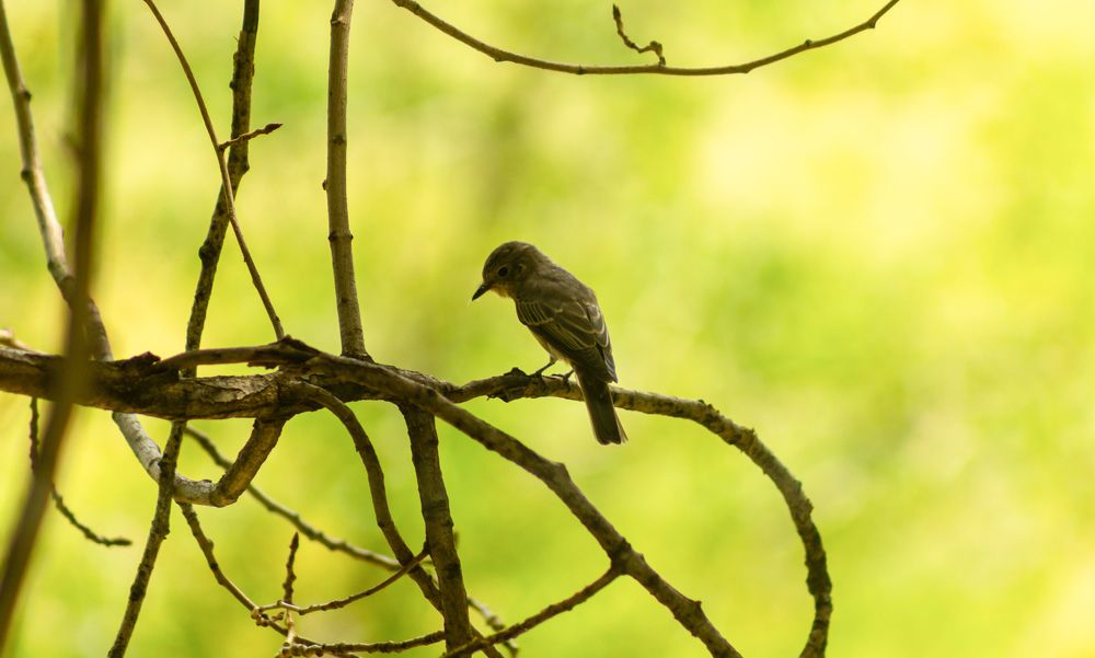 Photograph by Ольга Захарова