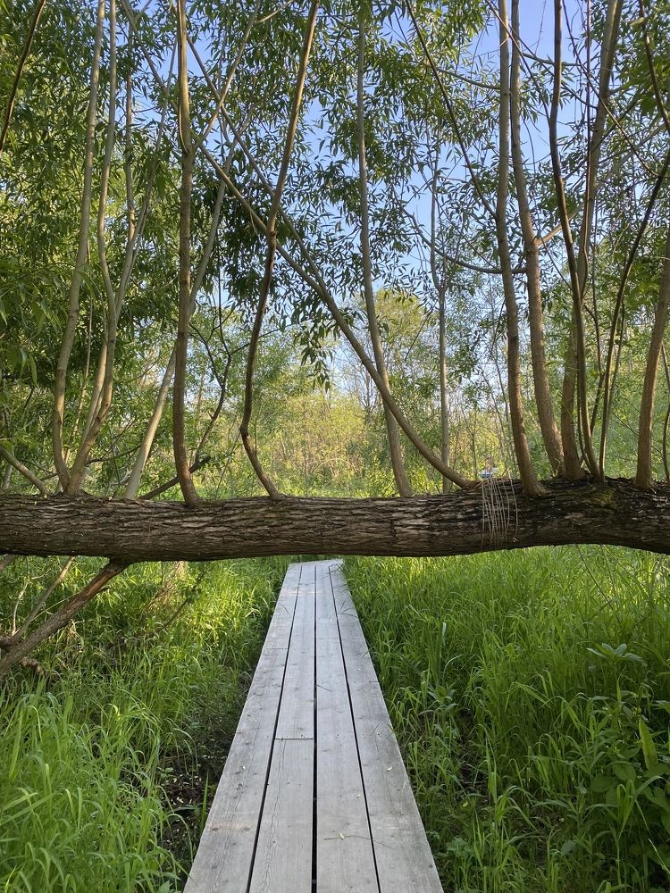 Photograph by Екатерина Амирасланова