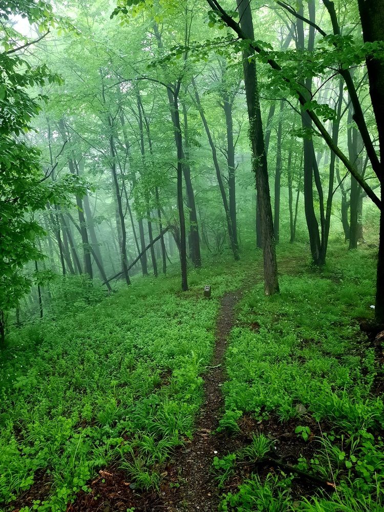 Photograph by Sonia Crotta