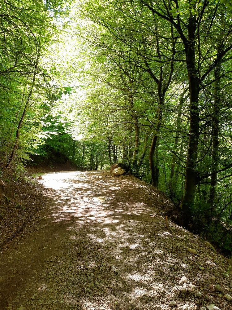 Photograph by Sonia Crotta