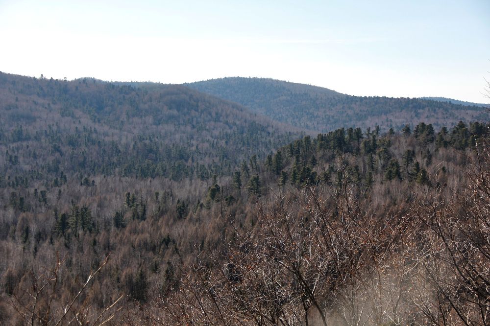 Фотография автора Наталия Мащенко