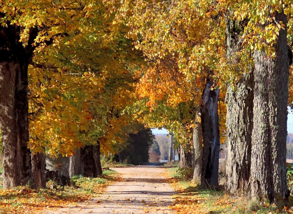 Photograph by Pjotr Alekseev