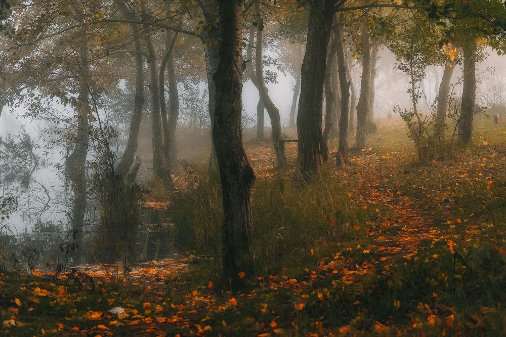 Photograph by Tatiana Alieva