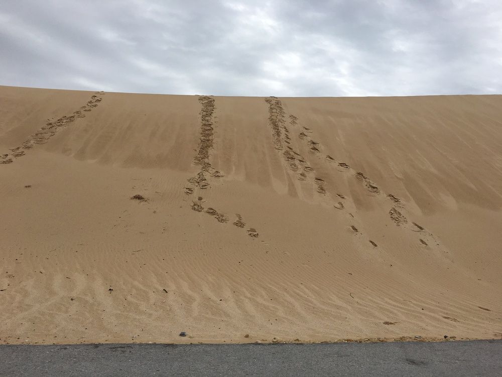 Фотография автора Gabriel diaz