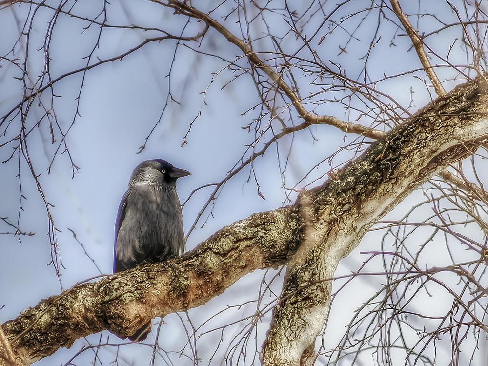 Photograph by Алексей Горин