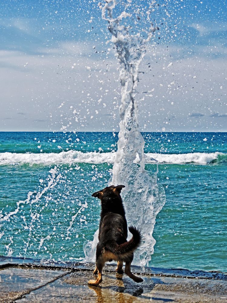 Photograph by Михаил Малец