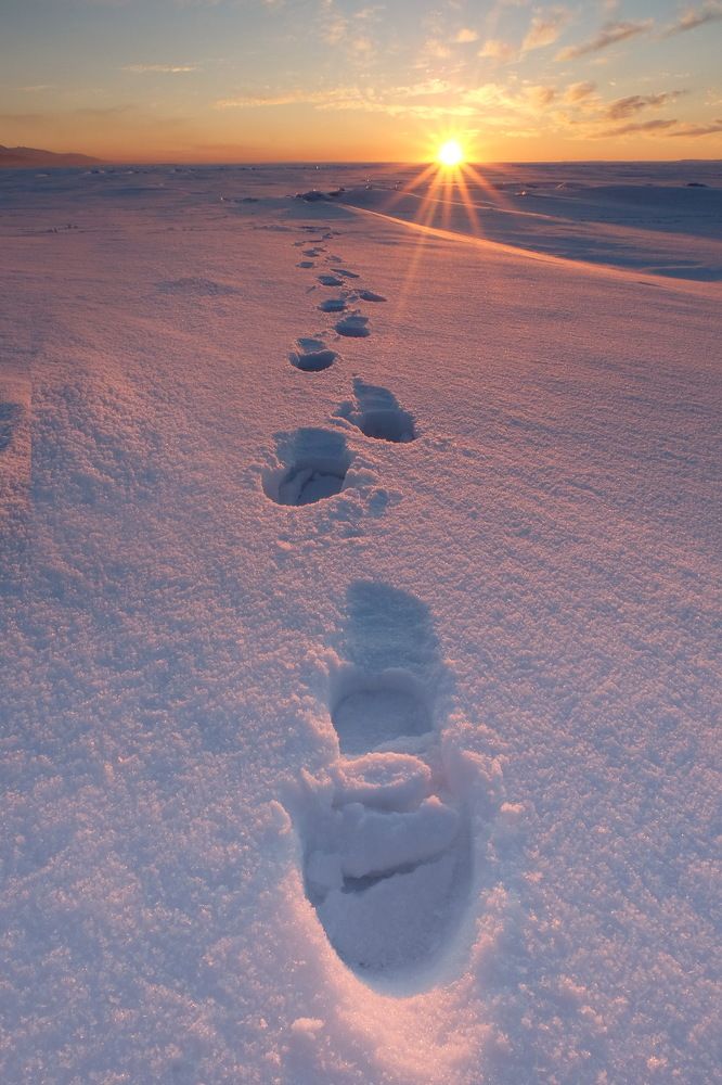 Photograph by Андрей Ильков