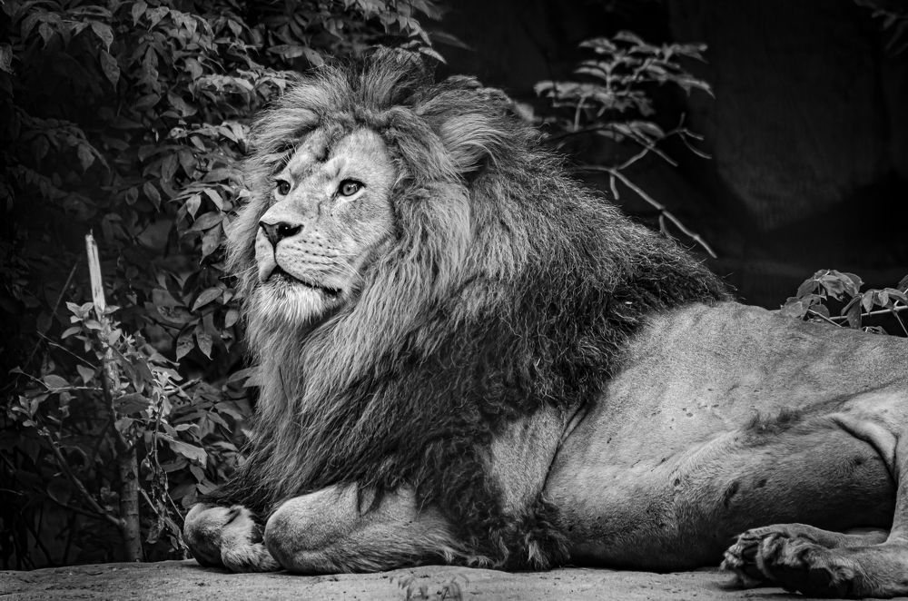 Photograph by Елена Берсенёва