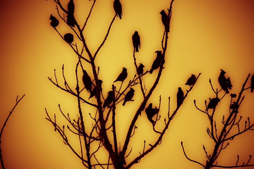 Photograph by Анастасия Перминова