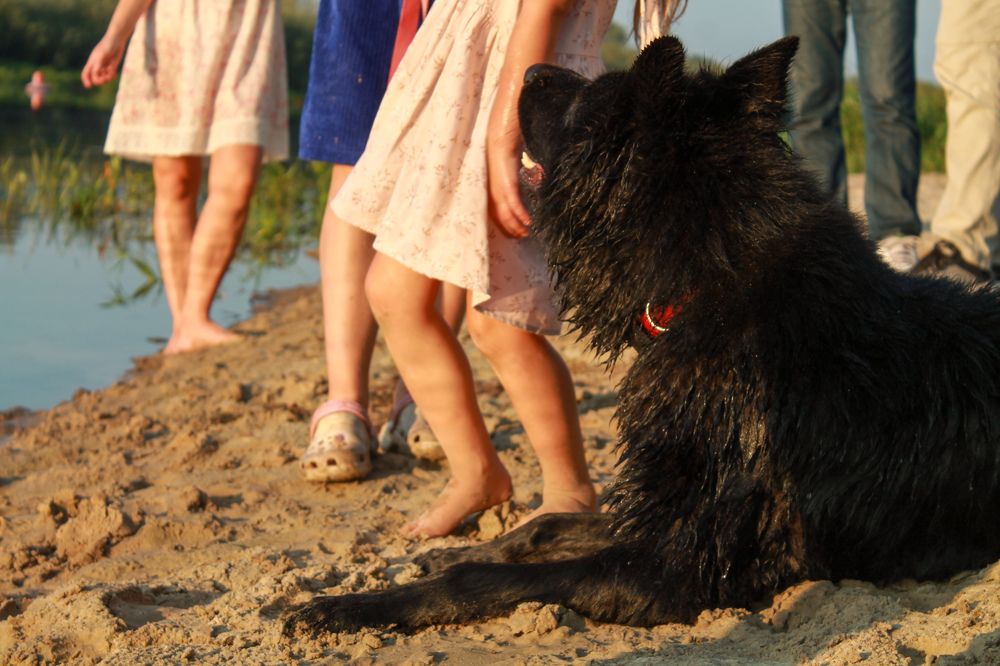 Photograph by Оксана Хабарова