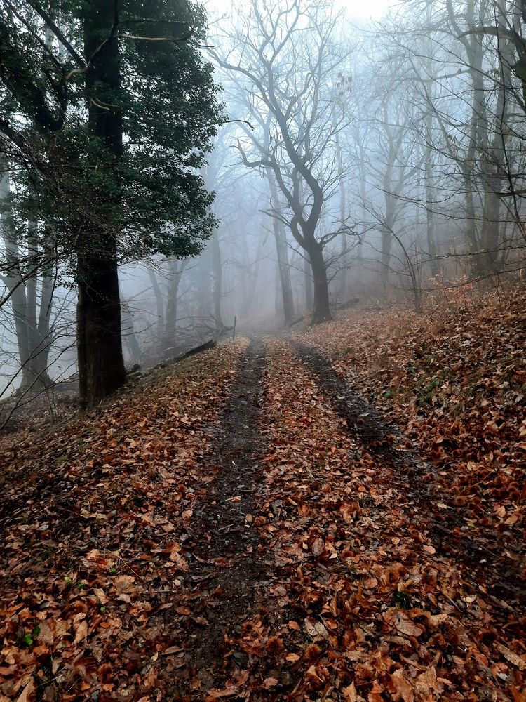 Photograph by Sonia Crotta