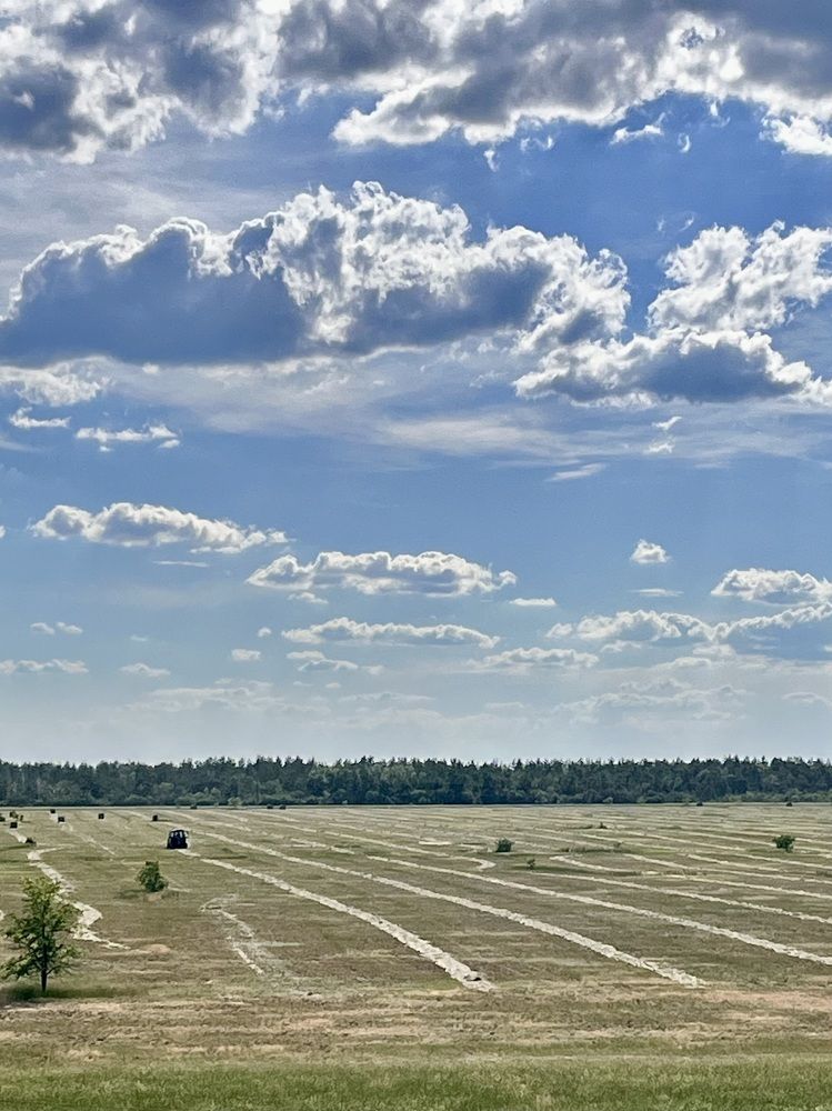 Photograph by Ольга Белоусова