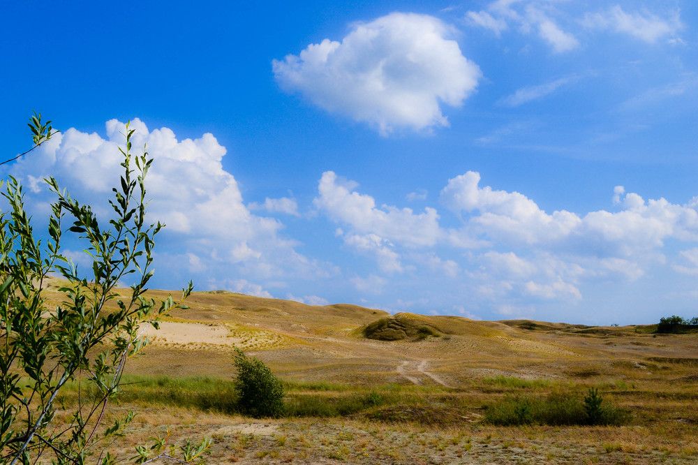 Фотография автора Юлия Кранина