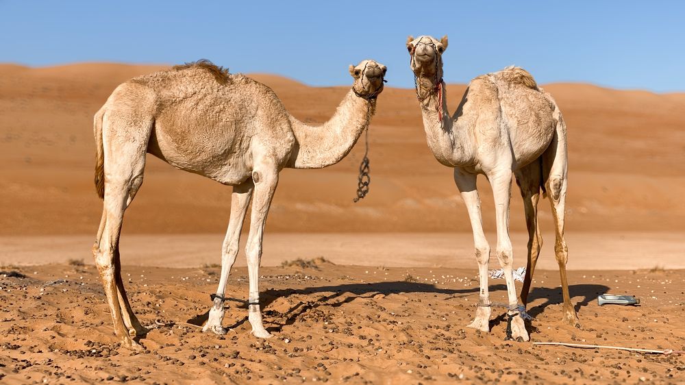 Photograph by Alex Belov