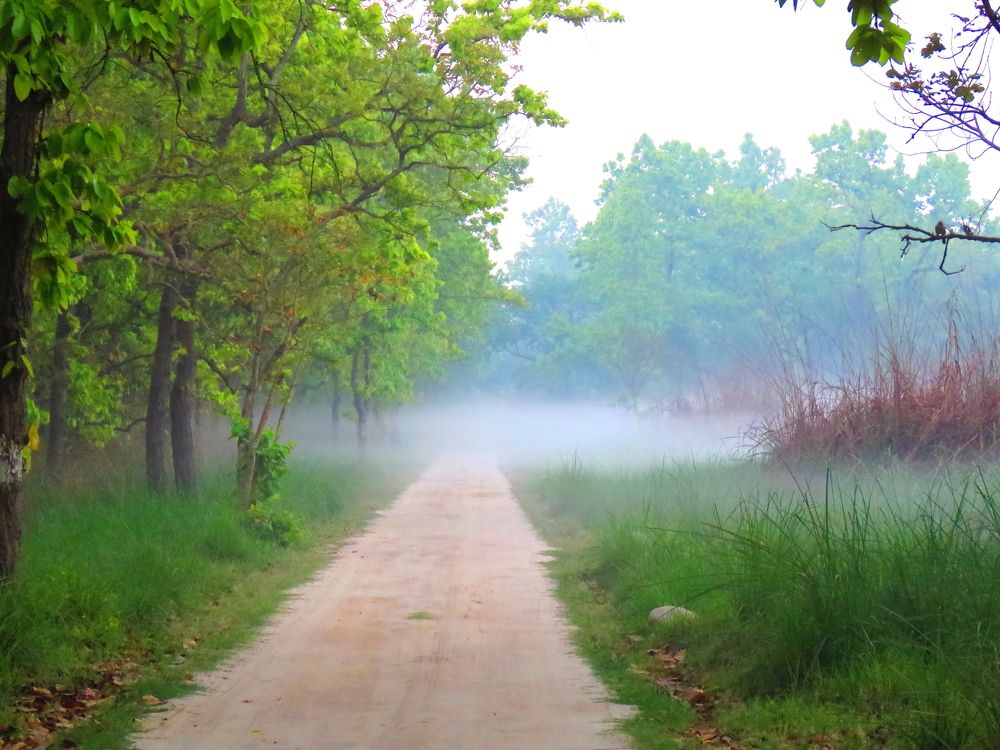 Photograph by ACHIEVEMENT LOVER