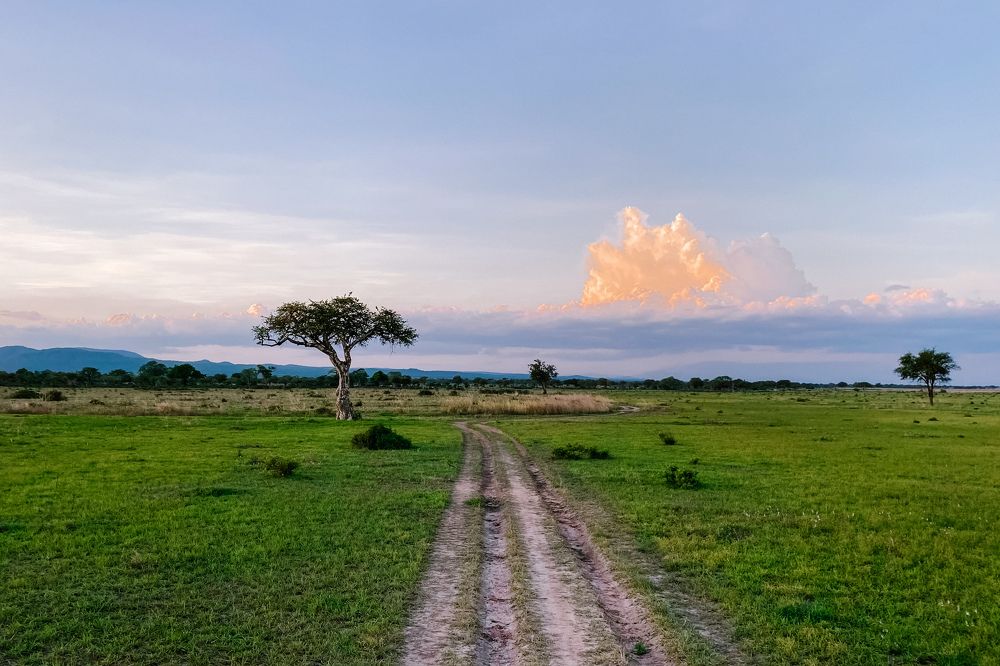 Photograph by Дулова Анастасия
