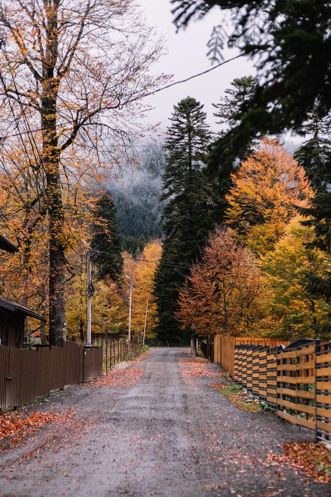 Photograph by Кристина Брызгалина