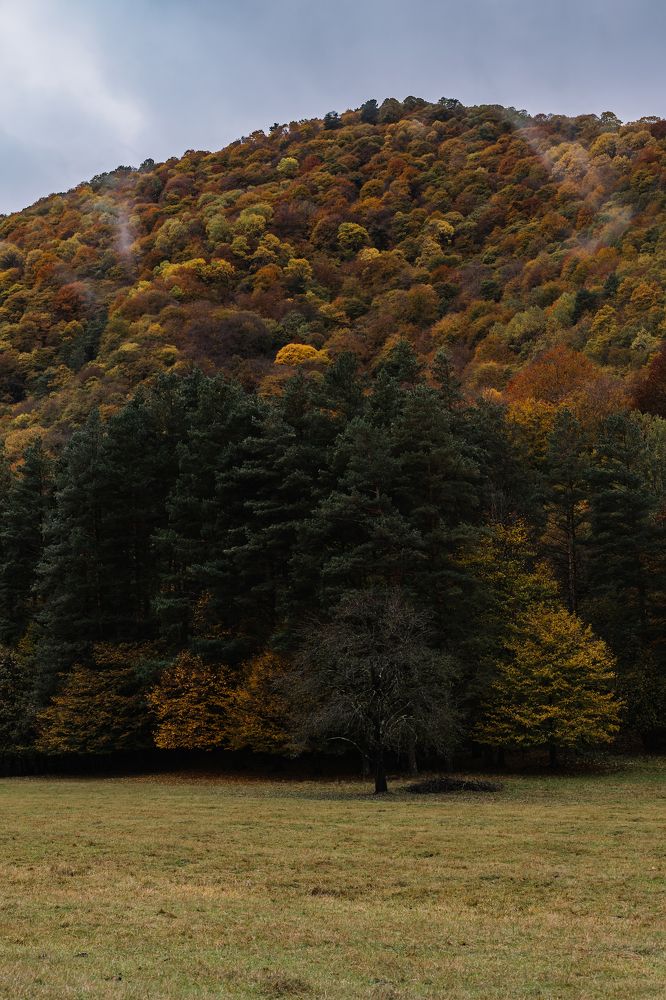 Photograph by Кристина Брызгалина