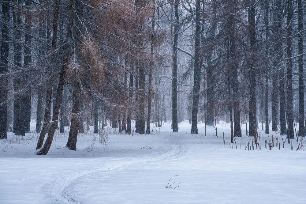 Photograph by Леонид Синев