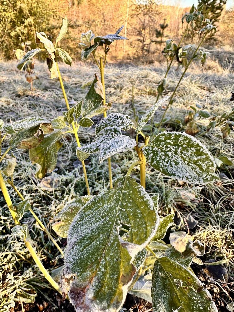 Фотография автора Ludmila Gordienko