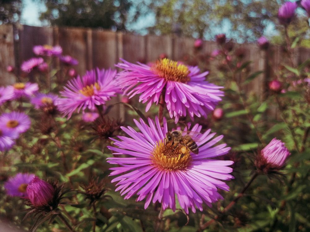 Photograph by Серафима Футлярова