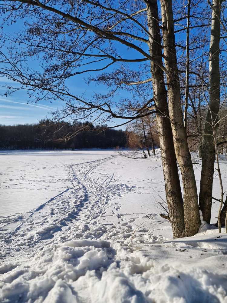 Photograph by Людмила Григорьева