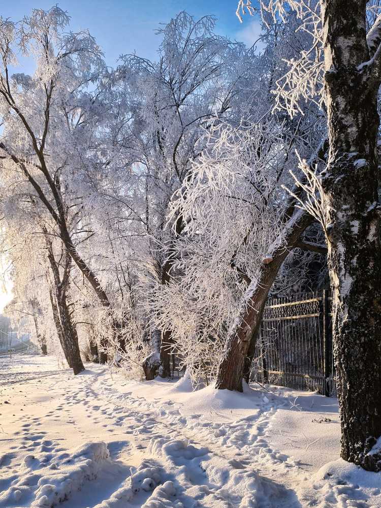 Photograph by Людмила Григорьева