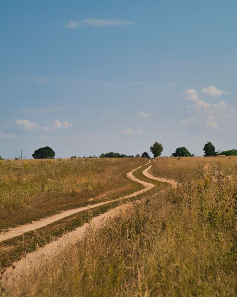 Photograph by Людмила Григорьева