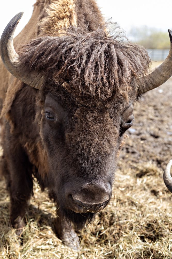 Photograph by Нина Пашина