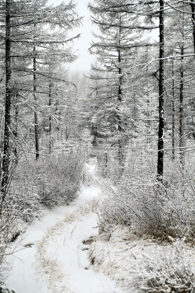Photograph by 